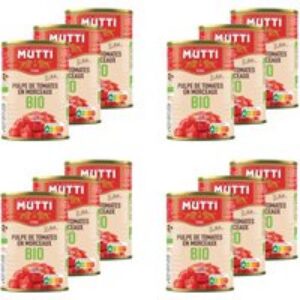 Lot 12x Pulpe De Tomates Morceaux Bio – Boîte 400g