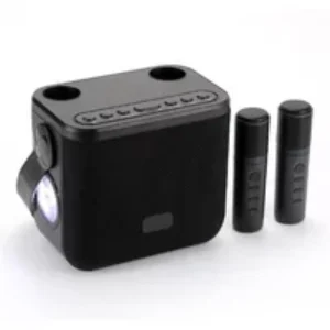 Enceinte Bluetooth 10W Puissante Avec Micro Karaoke Et Lampe LED