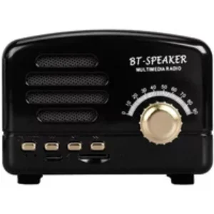 Yonis Enceinte Bois Vintage