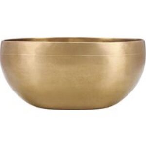 Bol chantant Sonic Energy – Universal – 600 g